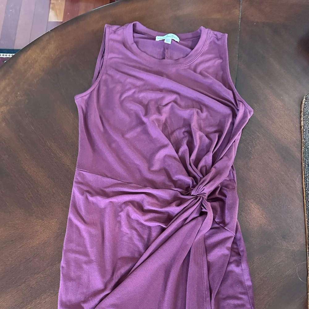 Nine Britton Sleeveless Burgundy Wine Fitted Dress Small